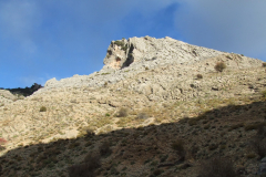 DSCF2401