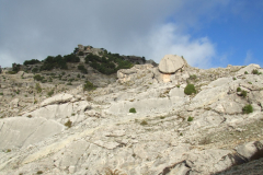 DSCF2408