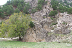 DSCF2431