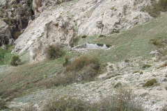 DSCF2432
