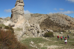 DSCF2462