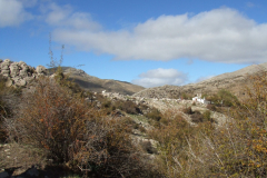 DSCF2464