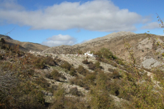 DSCF2465
