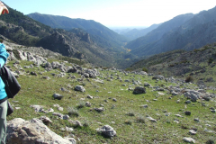 DSCF2474