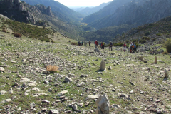 DSCF2476