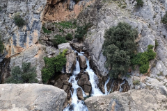 IMG-20231029-WA0021