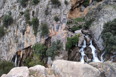 IMG-20231029-WA0022
