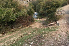 IMG-20231029-WA0040