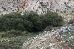 IMG-20231029-WA0041