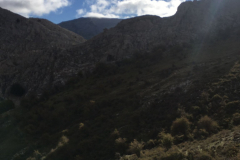 IMG-20231029-WA0043