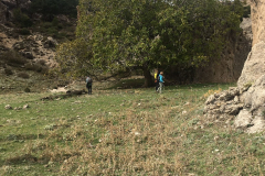 IMG-20231029-WA0045