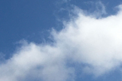 IMG-20231029-WA0054