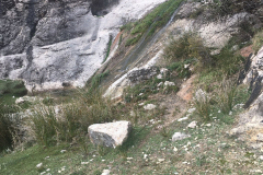 IMG-20231029-WA0056