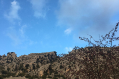 IMG-20231029-WA0059