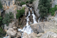 IMG-20231029-WA0068