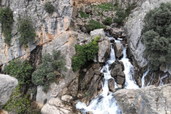 IMG-20231029-WA0079