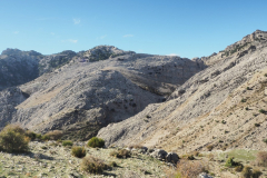 IMG-20231029-WA0097