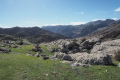 IMG-20231029-WA0098