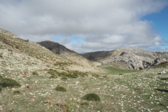 IMG-20231029-WA0100