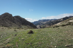 IMG-20231029-WA0101
