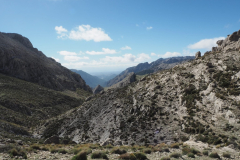 IMG-20231029-WA0102