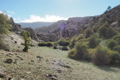 IMG-20231029-WA0105