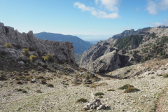 IMG-20231029-WA0109
