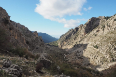IMG-20231029-WA0111