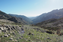 IMG-20231029-WA0115