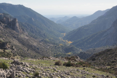 IMG-20231029-WA0117