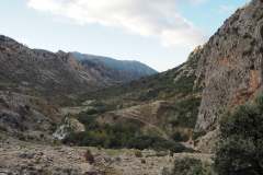 IMG-20231029-WA0120