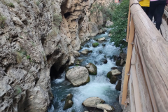 IMG-20231029-WA0017