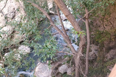 IMG-20231029-WA0018