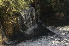 IMG-20231029-WA0049