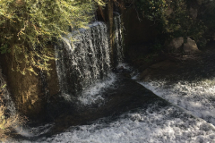 IMG-20231029-WA0052