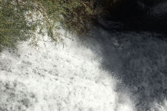 IMG-20231029-WA0053