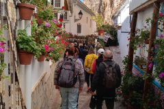 IMG-20231029-WA0062