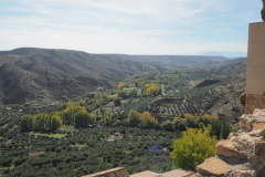 IMG-20231030-WA0021