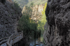 IMG-20231030-WA0035