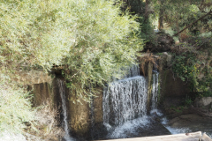 IMG-20231030-WA0040
