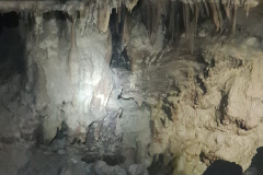 IMG-20240623-WA0034