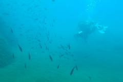 Curso-Buceo-2025-2