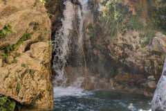 IMG-20250819-WA0013