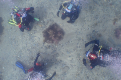 Curso de Buceo  20, 21, 27 y 28 de abril 2024