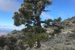IMG-20240303-WA0015