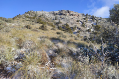 IMG-20240303-WA0022
