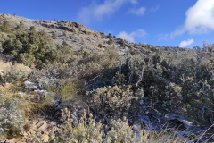 IMG-20240303-WA0023