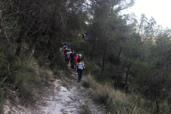 IMG-20241006-WA0009