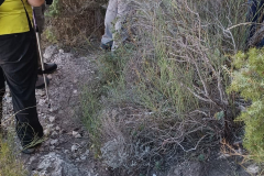 Bonaire-19