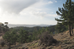 Almenara-12